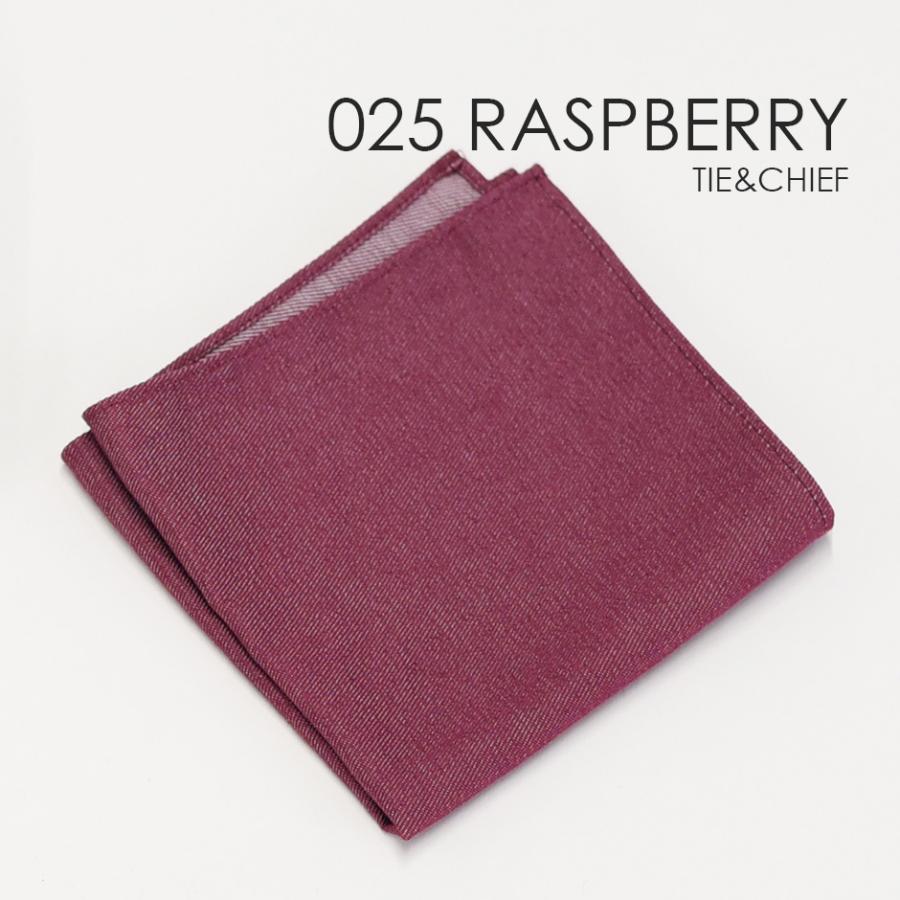 蝶ネクタイ＋チーフ 025RAラズベリー お洒落なコーディネート★レンタル4泊5日★ |  | 04