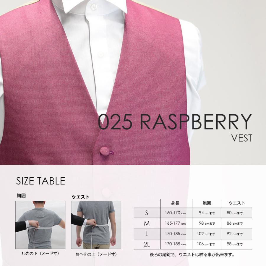 ベスト単品 025RAラズベリー お洒落なタキシードの着こなし★レンタル4泊5日★ |  | 02
