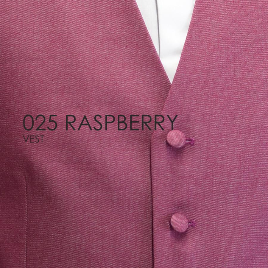 ベスト単品 025RAラズベリー お洒落なタキシードの着こなし★レンタル4泊5日★ |  | 04
