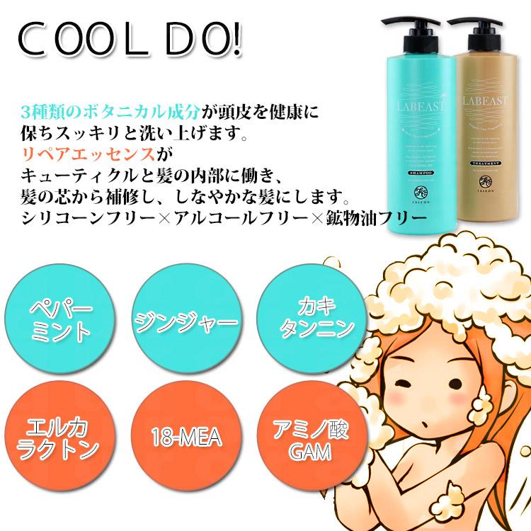 ラビースト クールドゥ シャンプー550ml ペパーミント 夏 スッキリ 爽快 サロン用 美容院 美容室 涼しい シリコンフリー LABEAST｜tuyakami｜03