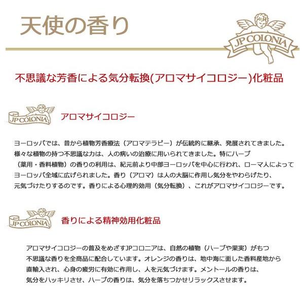 JPコロニア アラスカンクールオーデコロンナチュラルスプレー 100ml No.8405 メントール 天然シトラス 香水 メンズ 爽やか 男性用 プロ用美容室専門店｜tuyakami｜03