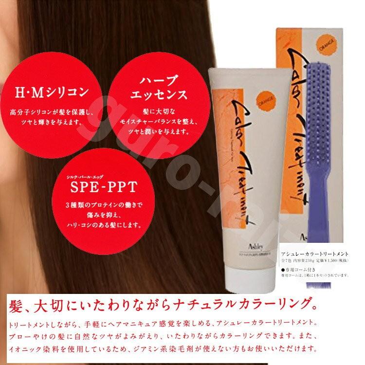 hoyu（ホーユー） アシュレーカラートリートメント 230gブラシ付き