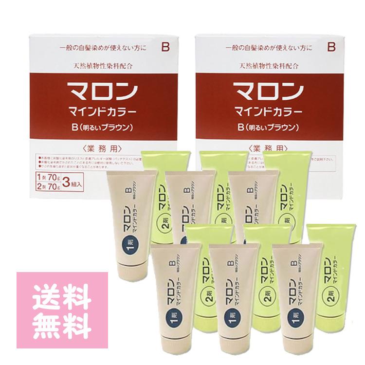 マロンマインドカラーB 明るいブラウン 業務用 3ペア 1剤・2剤 入 ×2箱
