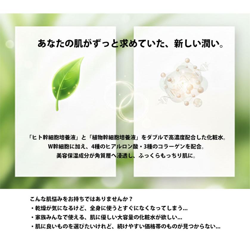 RE:NEW ヒト幹細胞化粧水 1000mL ×2 大容量化粧水 RE NEW 無香料 無