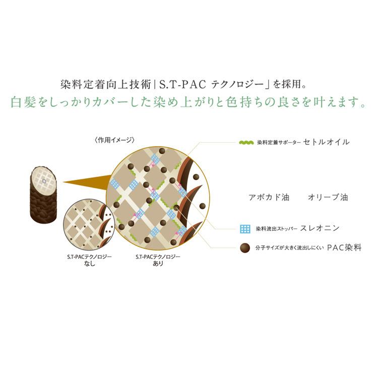 プロステップ グレイカラー 白髪染め GB7 GB8 GB9 トリートメント