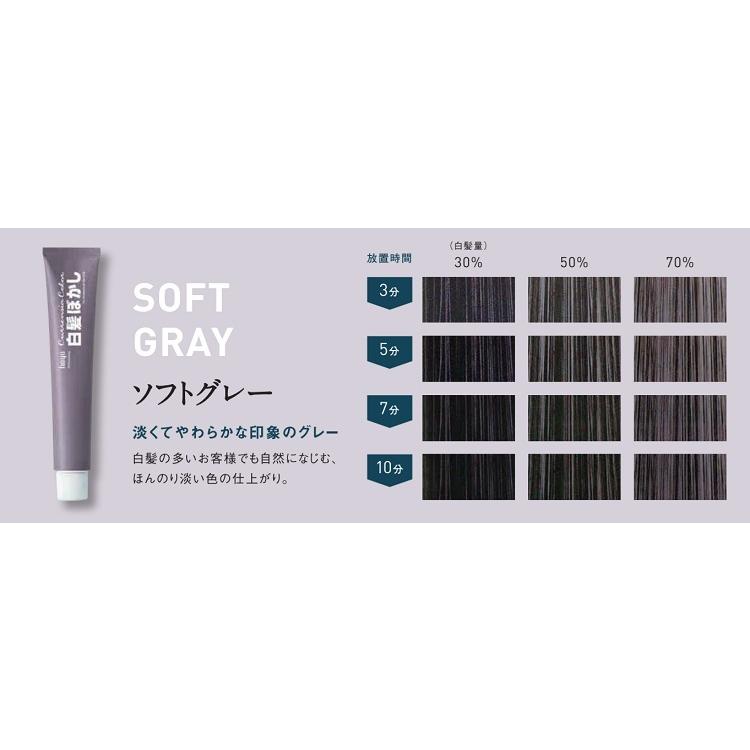 ホーユー プロフェッショナル カレンシアカラー 1剤 白髪ぼかし ホーユー プロフェッショナル カレンシアカラー 1剤 白髪ぼかし
