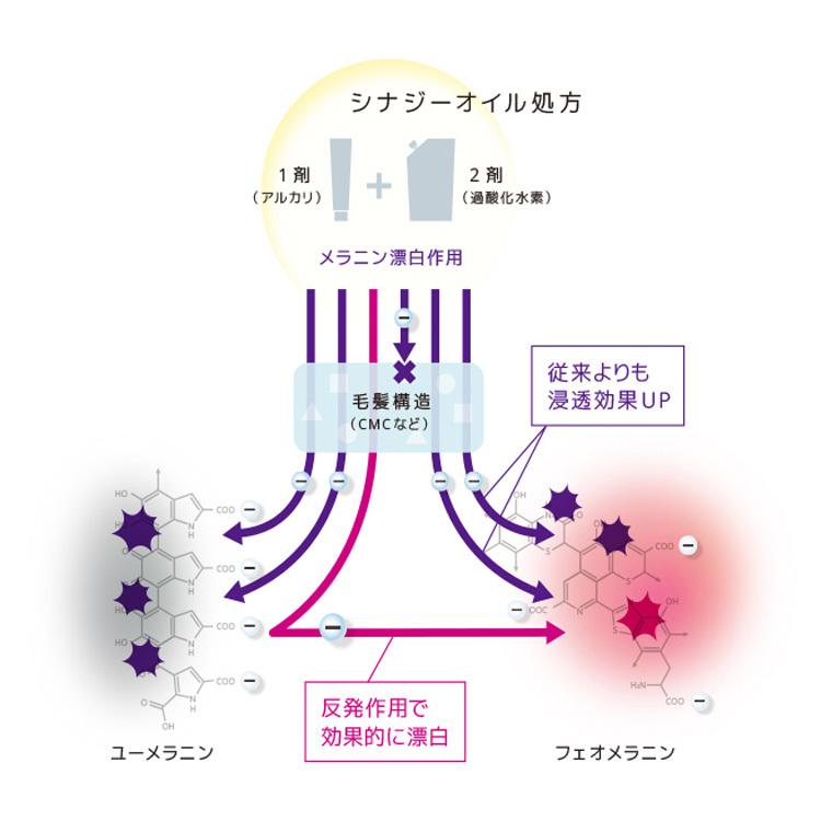 ルベル エドルオキシ 6％ 2％ 1000ml エドルカラー専用2液 ヘアカラー