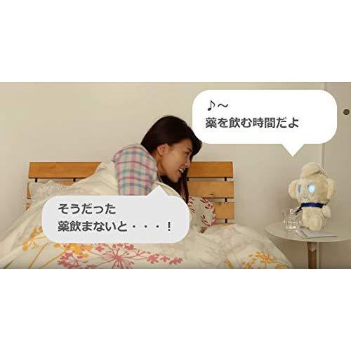 完動品 コミュニケーションロボット Chapit (チャピット) 【SK2762831500】(100430円)