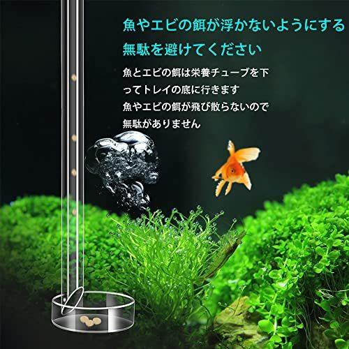 Wanfengxue 給餌皿 水槽セット エビ餌 トレイ チューブ 透明 アクリル 水槽 アクアリウムエビ 25 2 6 5cm 稚魚 飼育用 給餌器 餌皿 餌入れ水槽用 A B09vfr67rr 2722 Tuyari Nushop 通販 Yahoo ショッピング