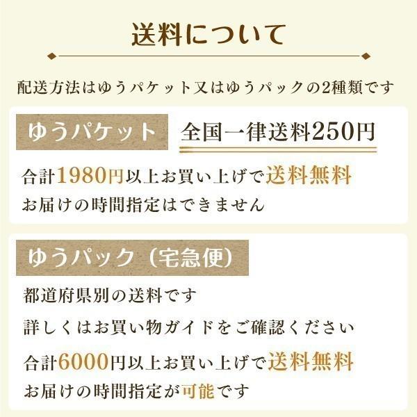 ツーヨン公式最安値 抗ウイルス 花粉 風邪 マスクフィルター 取替用 超極細繊維 電石不織布 6枚入り 2セット カワイイマスク用 小さめサイズ 日本製 T-46M |  | 06