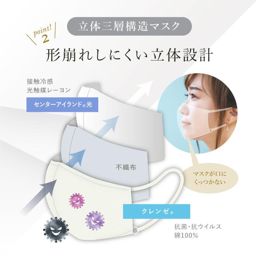 クレンテックマスク　2個 クレンテックマスク 2個 クレンテックマスク 2個