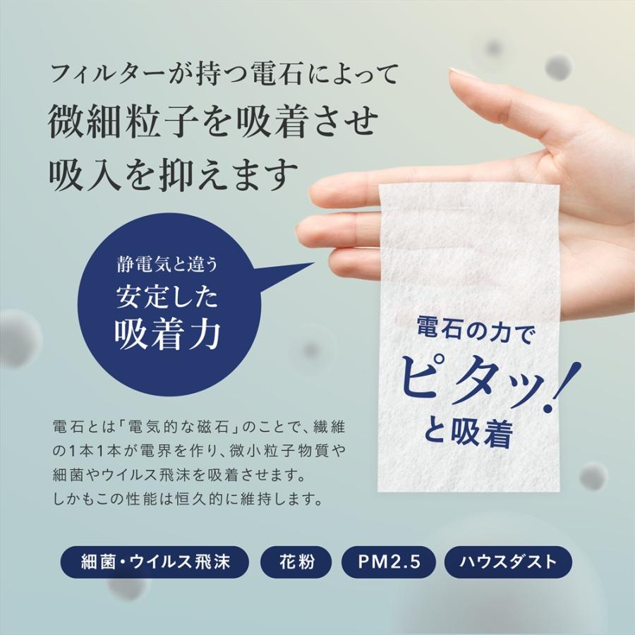 ビックマスク ゆったり大きめサイズ スクワランで潤いキープ 優れた保湿力でムレにくい 息ラク3D 送料無料  ツーヨン２枚入  抗ウイルスフィルター６枚付 T-91Ａ |  | 13