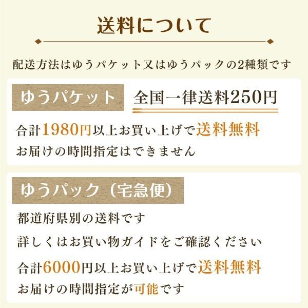 クレンゼ 洗える 布マスク日本製 蒸れない ツーヨン２枚入 抗ウイルスマスクプリーツ 耳が痛くない紐 長さ調節可 取り外し可能ノーズワイヤー付 花粉 T-93J |  | 05