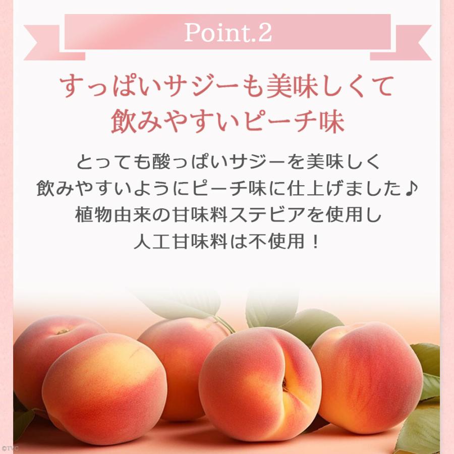 BEAUTY ENZYME（ビューティーエンザイム） 酵素ドリンク サジー