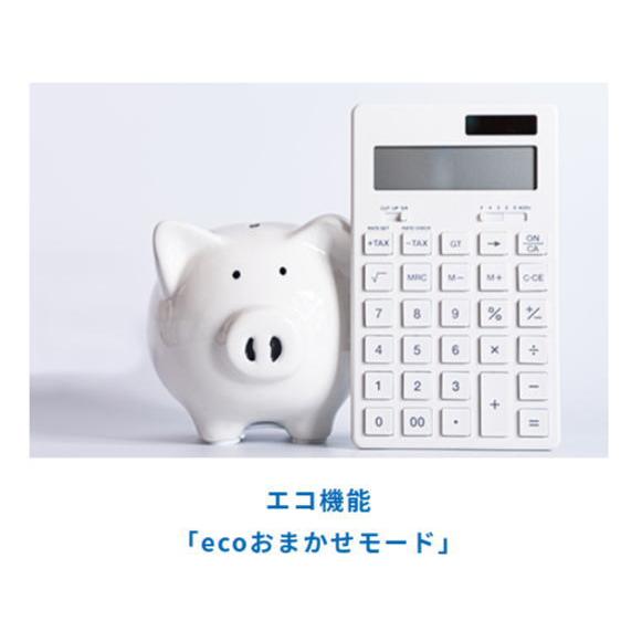ダイニチ：石油ファンヒーター(Lタイプ)(ムーンホワイト)/FW-4625L-W