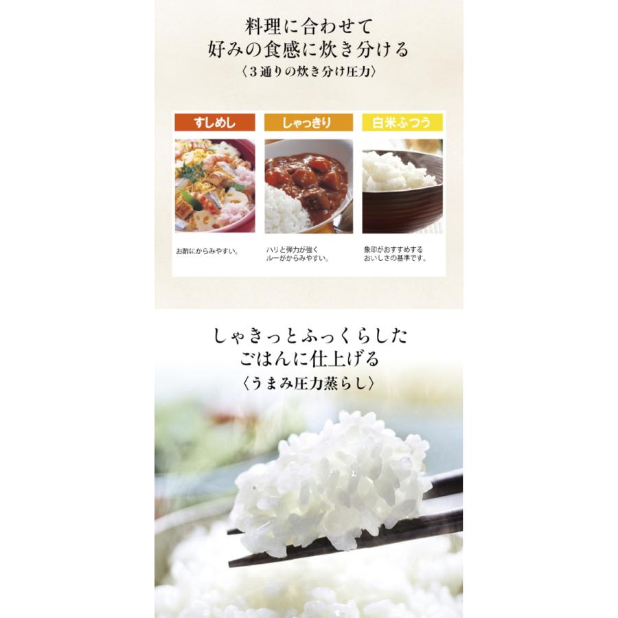 象印:圧力IH炊飯ジャー極め炊き(5.5合炊)(ブラック)/NP-ZX10 象印:圧力IH炊飯ジャー極め炊き(5.5合炊)(ブラック)/NP-ZX10