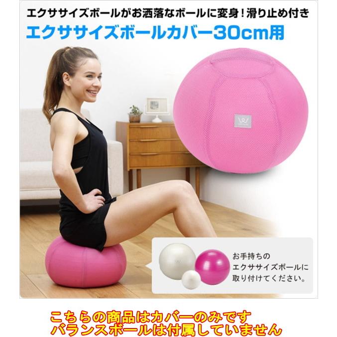 市場 アルインコ エクササイズボール ７５ｃｍ Wbn075