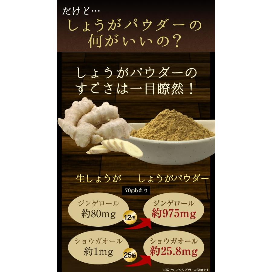 国産 しょうがパウダー 粉末100g  高知県産 ショウガオール 蒸し生姜 ポイント消化 ギフトにも｜tvfusion｜04