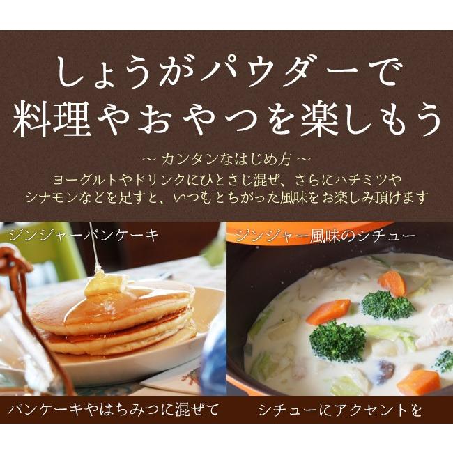 国産 しょうがパウダー 粉末100g  高知県産 ショウガオール 蒸し生姜 ポイント消化 ギフトにも｜tvfusion｜06