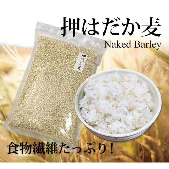 国産はだか麦 10kg(5kg×2袋) 国産はだか麦 10kg(5kg×2袋) 楽天市場】はだか麦 900g 大麦の