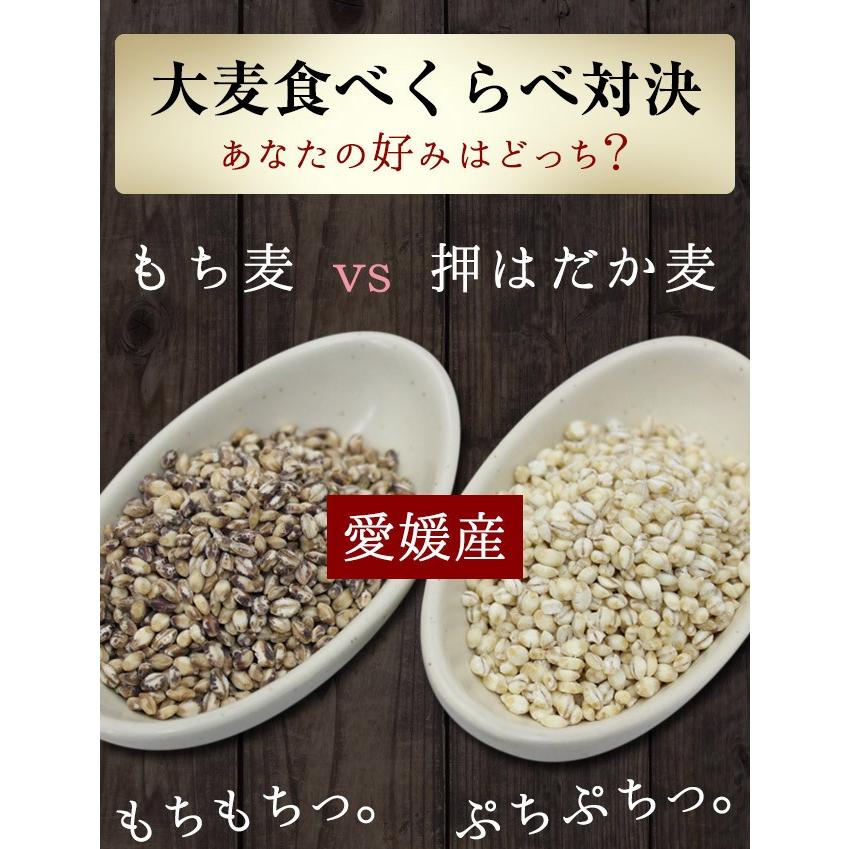 1kg×2個　国産 もち麦＆押はだか麦 媛もち麦 大麦 食べ比べセット 2kg ギフトにも