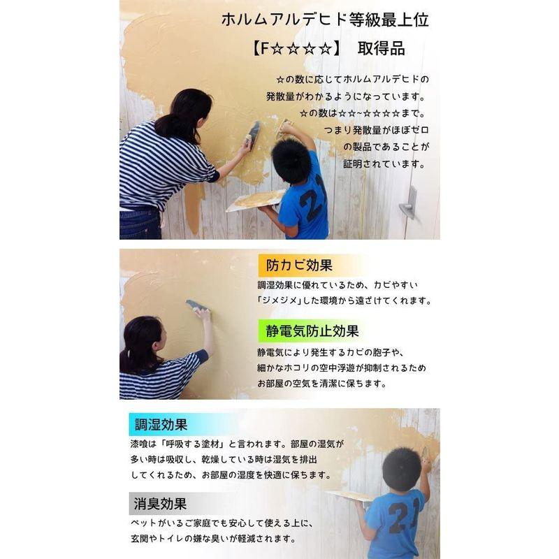 開催中 ベジタウォール 漆喰 16kg 練り済み 全9色 ナスビ Www Ampselectric Com