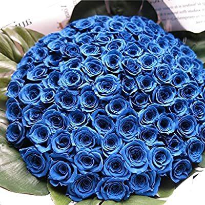 100 品質保証 108本 青バラ 彼女 プロポーズ 花束 プリザーブドフラワ 枯れない 青ミニローズ108本使用 プリザーブドフラワー 花束 108本 青バラ 彼女 プロポーズ プリザーブドフラワ キッチン収納 ラック Www Tisalutocovid It