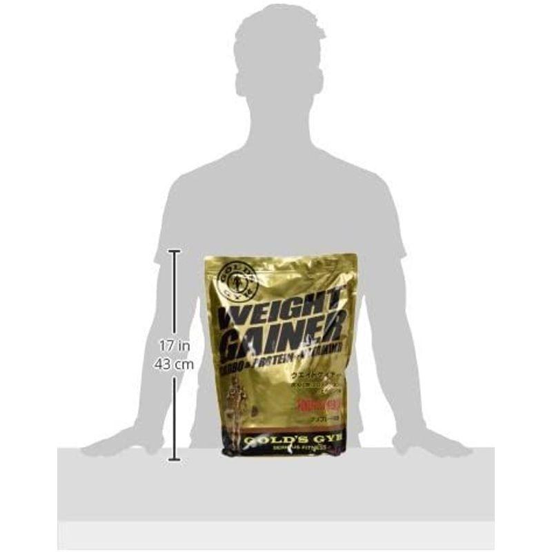 ゴールドジム(GOLDS GYM) ウエイトゲイナー チョコレート風味3ｋｇ GOLDS GYM ウエイトゲイナー チョコレート風味3ｋｇ