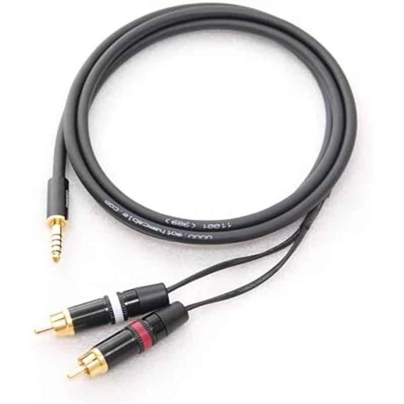 格安SALEスタート！ オーディオケーブル GOTHAM ゴッサム GAC-4/1 Yケーブル (4.4mm5極オス ? RCA×2) (1m)