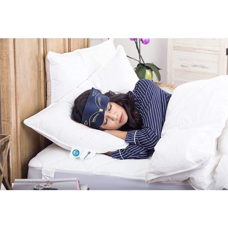 驚きの価格驚きの価格プレミアム 100% ホワイトグースダウン 中くらいの硬さ 枕 Queen Soft (Set Of 2) 枕、ピロー Queen Anne Pillow Company 枕 2個パック 弊社のベストセラー Heavenly Down 豪華 低刺激性 アレルギーの方向け_並行輸入品