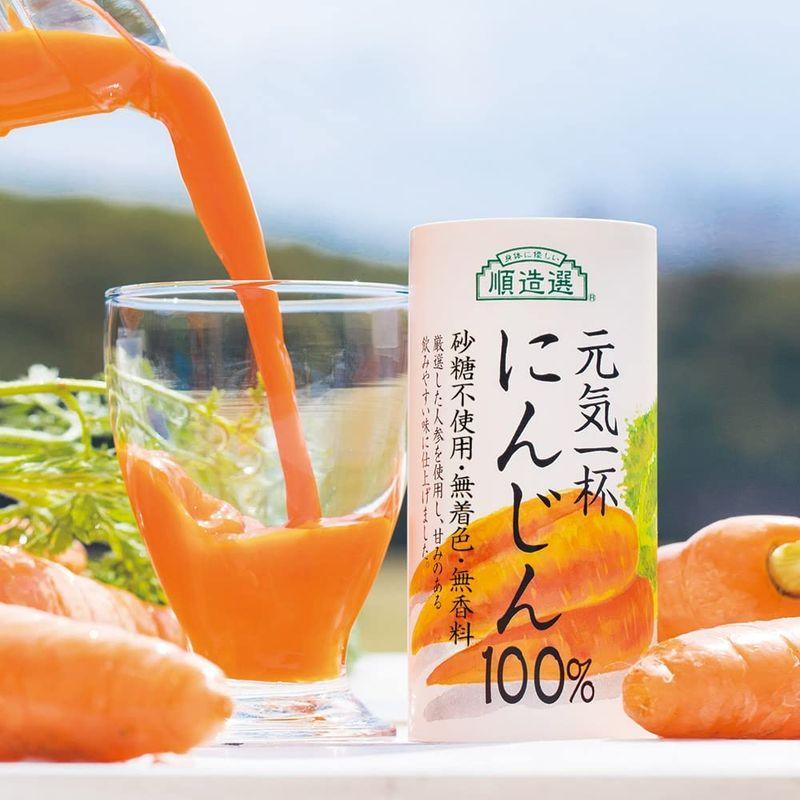 野菜ジュース 元気一杯 にんじんジュース 100％ 195g×30本順造選砂糖不使用 食塩無添加 無着色 無香料 人参ジュース カートカン｜tvilbidvirk3｜06