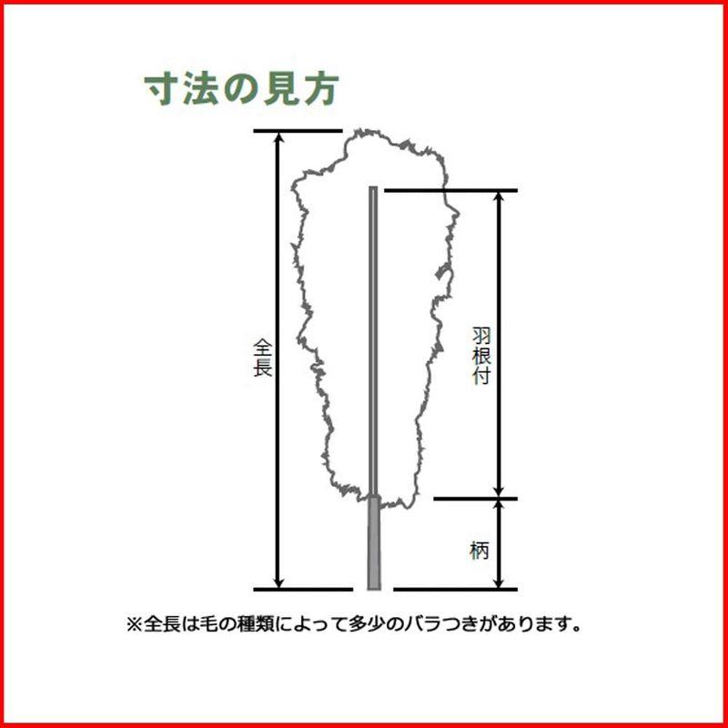 掃除用具 毛ばたき オーストリッチ 全長１００ｃｍ Ｄ８０ 車用 小型車 高級羽毛 日本製 ダチョウ 黒 掃除｜tvilbidvirk3｜07