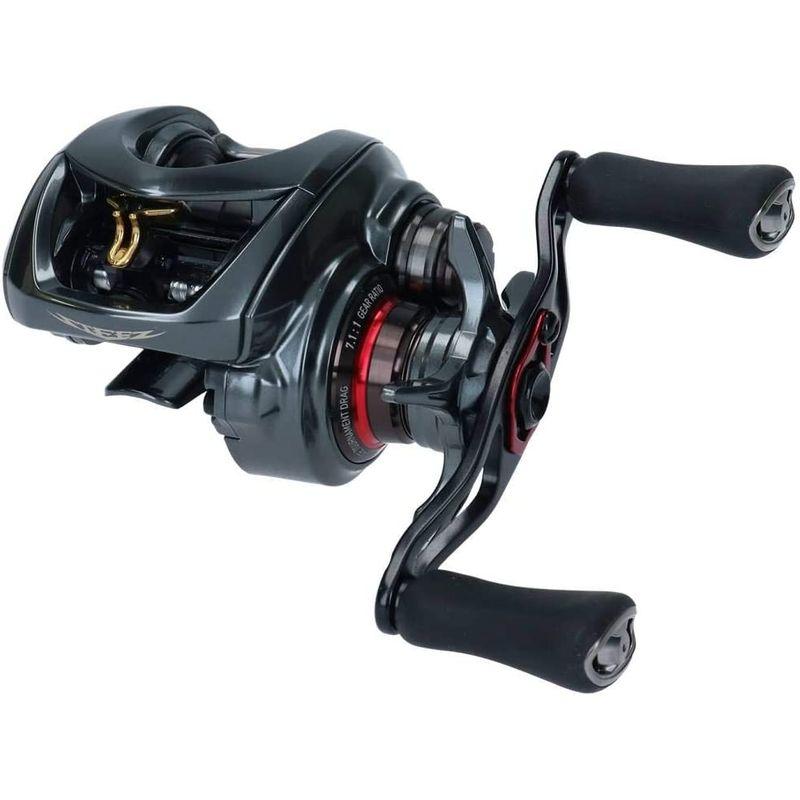 釣り用リール ダイワ(DAIWA) ベイトリール 19 スティーズ CT SV TW 700SHL (2019モデル)｜tvilbidvirk3｜05