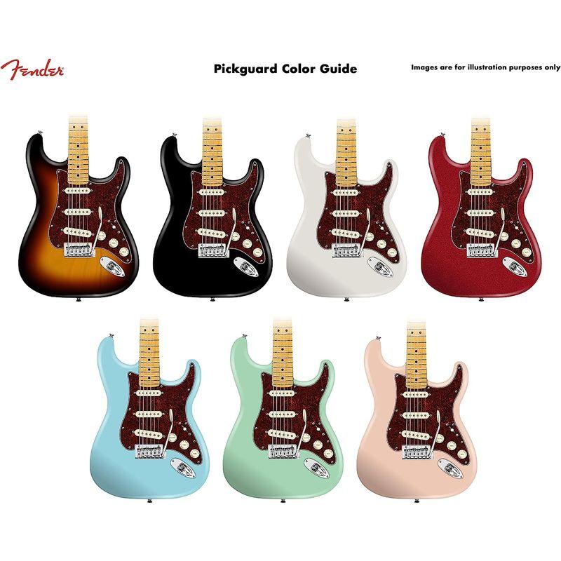 ギターパーツ Fender Pre-Wired Strat Pickguard, Vintage Noiseless SSS, Tortoi｜tvilbidvirk3｜05