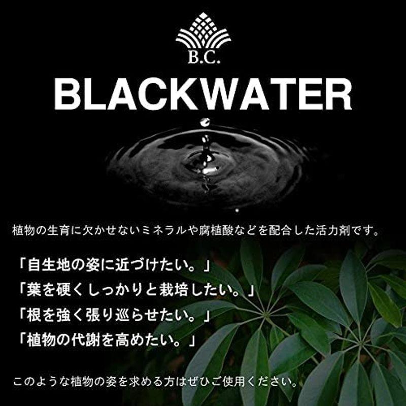 BLACKWATERリフィル500ml x 2袋 BLACKWATER ブラックウォーター 500ml リフィル