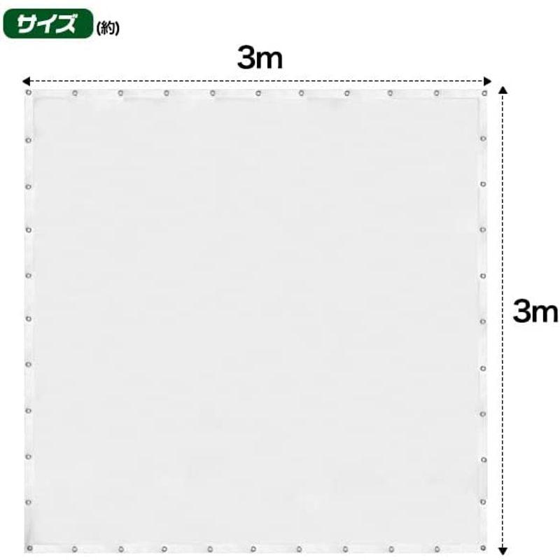 【美品】 ゴルフ 消音スクリーン シミュレーションゴルフ スクリーン ゴルフ用品 練習 ゴルフシミュレーター トレーニング 防音処理 3×3m 【AAA7427154662】(27002円)