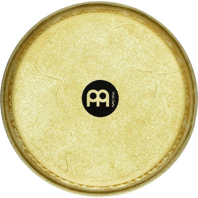 ボンゴ ボンゴヘッド 8-1/2" MARATHON series HEAD-04 楽器 MEINL Percussion マイネル 国内正規品｜tvilbidvirk5｜03