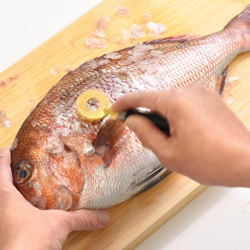 口コミ商品 大人の焼魚 オトナノヤキザカナ 鱗とり うろこ取り ウロコ 日本製 ブラック 黒 OTS8013