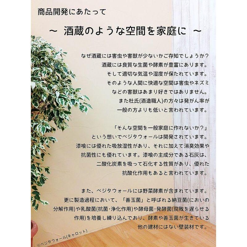 建築資材 ベジタウォール 塗り壁はじめてセット 漆喰 16kg 道具3点セット 練り済み 全9色 キャベツ - 7