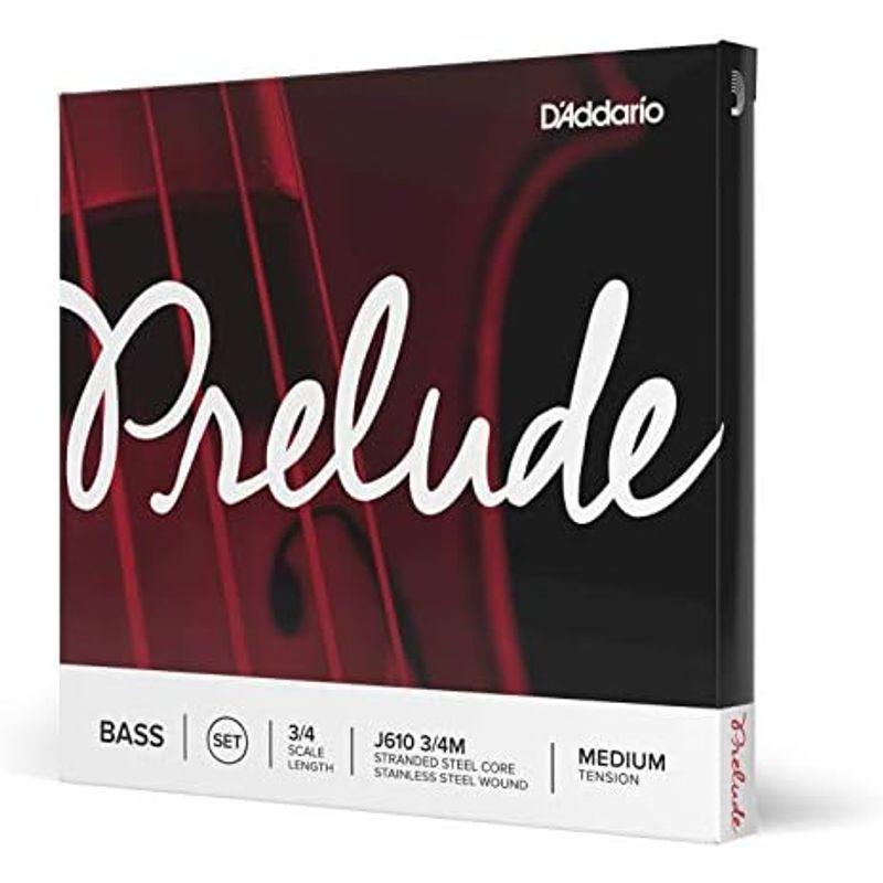 コントラバス弦 D'Addario ダダリオ ウッドベース(コントラバス)弦 J610 3/4M Prelude Bass Strings/SET 国内正規｜tvilbidvirk5｜16