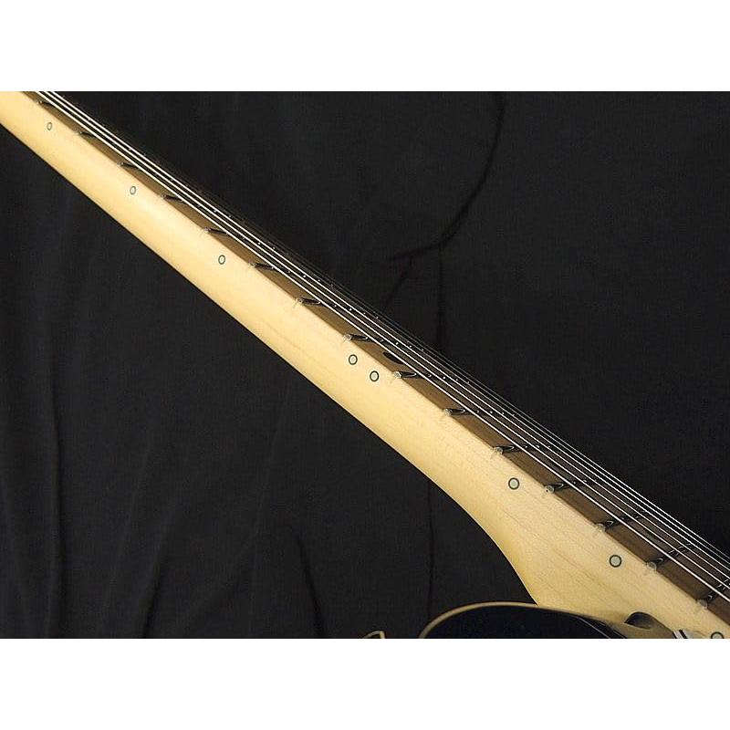 フジゲンテレキャスタ 送料込みに変更