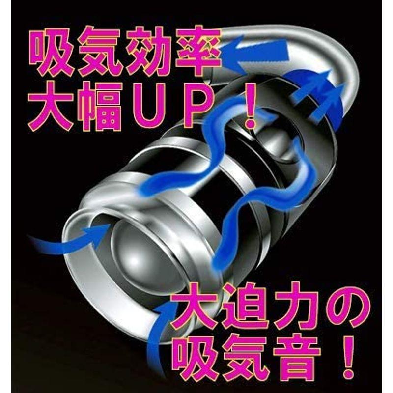 初回限定 Tvilbidvirk6SATISFACTION ヴェルファイア 30系 CARBON