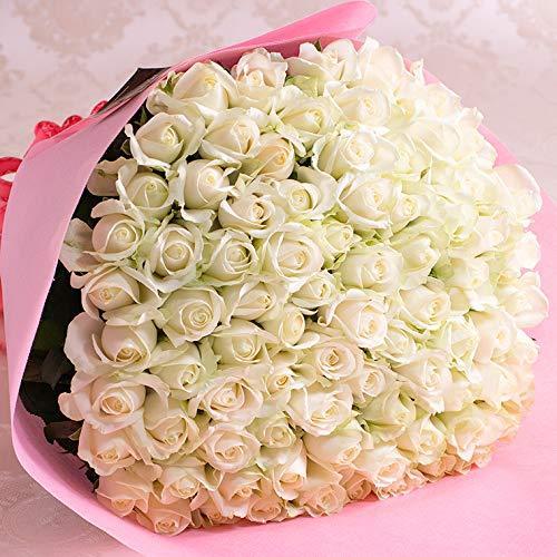 バラギフト専門店のマミーローズ 選べるバラ本数セレクト 還暦祝い 生花 花束 切花 誕生日 プロポーズ 贈り物の豪華なバラの花束 生花 A B00xkj5hre 2426 Tvil Bid 還暦祝い 本 白 Virk