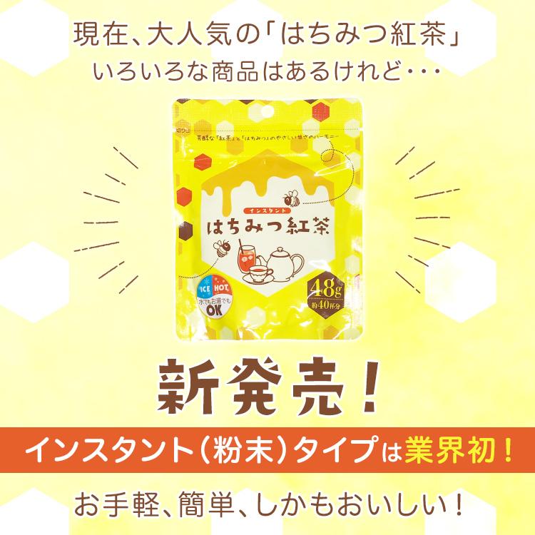 インスタント　はちみつ紅茶　48g詰×2袋セット　粉末　インスタントティー　蜂蜜紅茶 ハチミツパウダー｜tw-matsudaen｜03