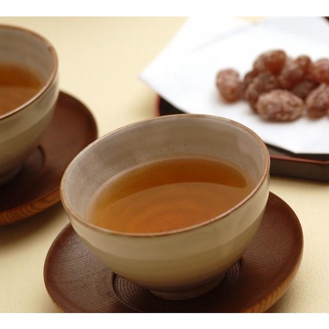 業務用インスタントほうじ茶 250g×1 粉末茶・パウダー茶 粉茶 粉末緑茶