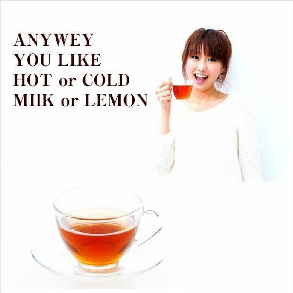 MATSUDAEN（松田園） 業務用インスタント茶 紅茶 250g×1 粉末茶