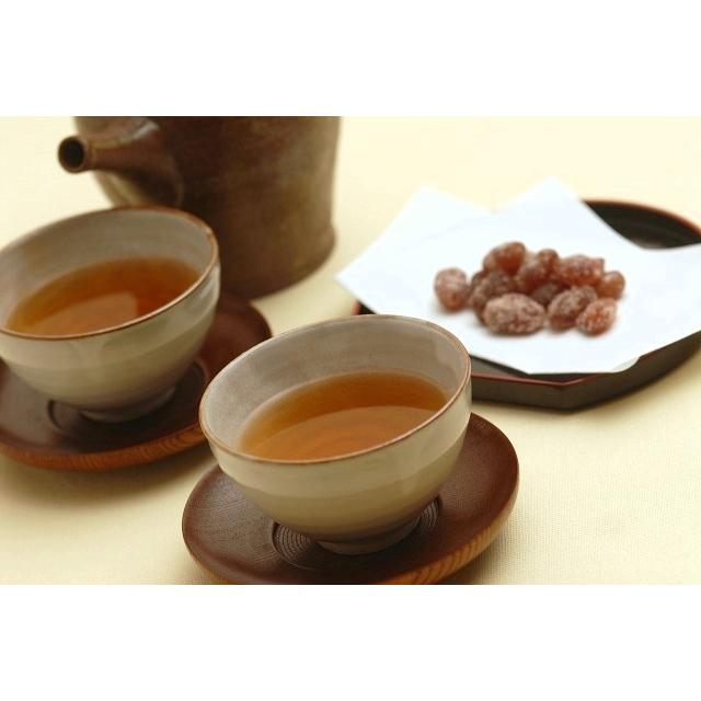 業務用インスタントほうじ茶SS　250g×10 コスト重視　サービス用　粉末茶　パウダー茶 粉茶 粉末緑茶 給茶機対応 送料無料_4