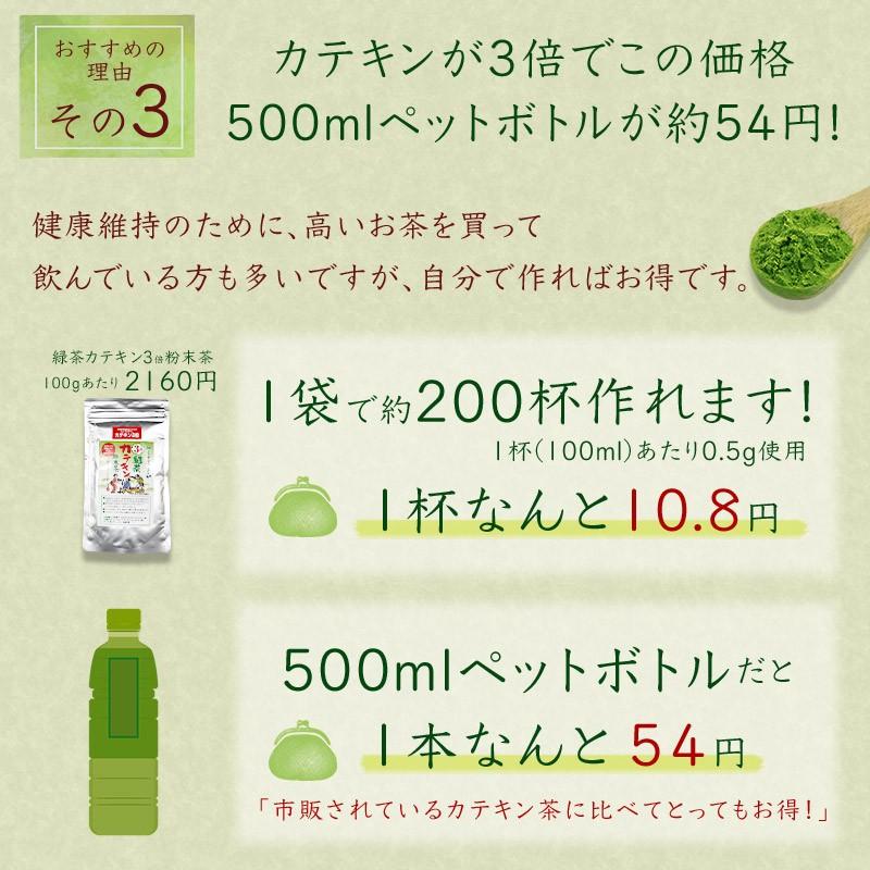 緑茶カテキン3倍粉末茶 100g詰×1 粉末緑茶 粉末茶 粉砕茶 送料無料｜tw-matsudaen｜06