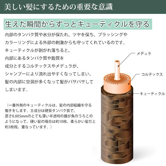 コンディショナー ショパン PINCHER conditioner chopin 500mL