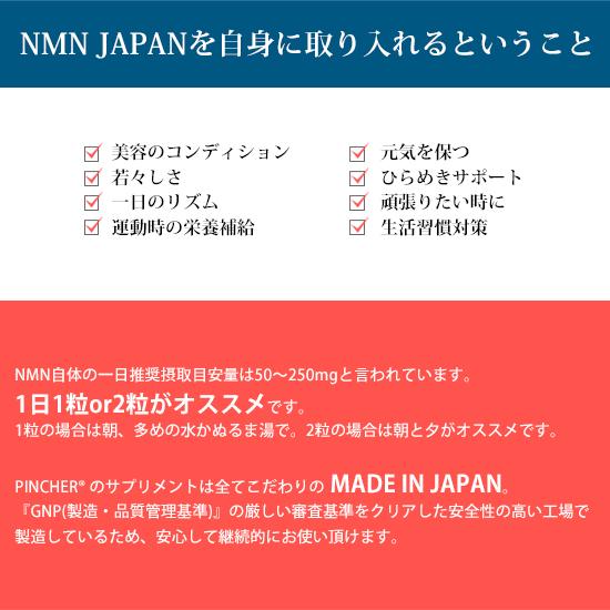 NMN　NMN JAPAN supplement エヌエムエヌ ジャパン サプリメント｜twentycompany｜09